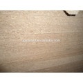 Plain/Raw Particle board